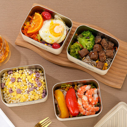 Stainless Steel Lunch Box Set with Bag